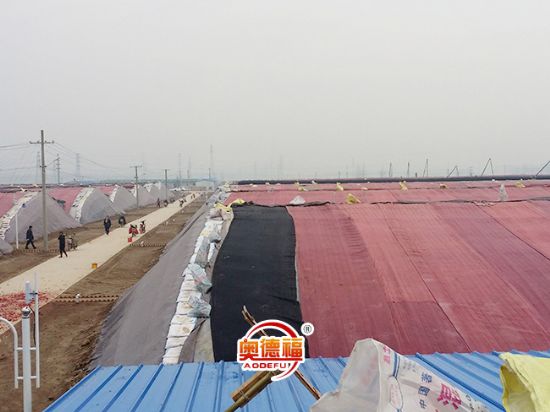 點(diǎn)擊查看詳細(xì)信息<br>標(biāo)題：生態(tài)大棚外景 閱讀次數(shù)：5972