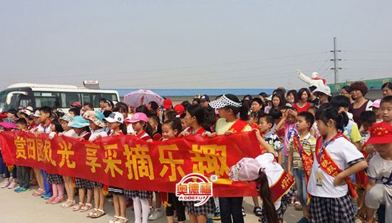 點擊查看詳細(xì)信息<br>標(biāo)題：采摘團 閱讀次數(shù)：5785