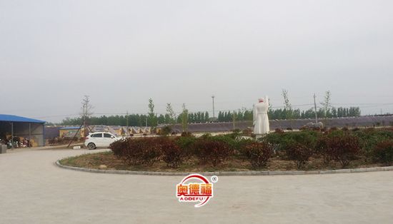 點擊查看詳細信息<br>標題：生態(tài)園蔬菜種植區(qū) 閱讀次數(shù)：5857