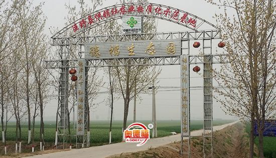 點擊查看詳細信息<br>標題：生態(tài)園 閱讀次數(shù)：6363
